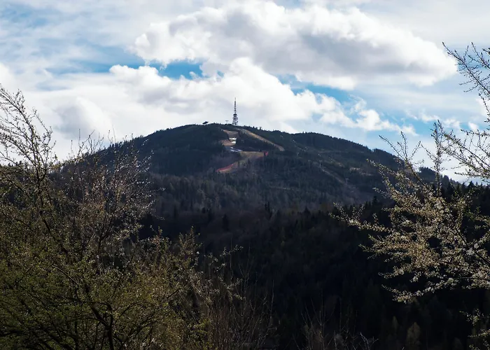 Szkolna, Sun & Snow Apartment *